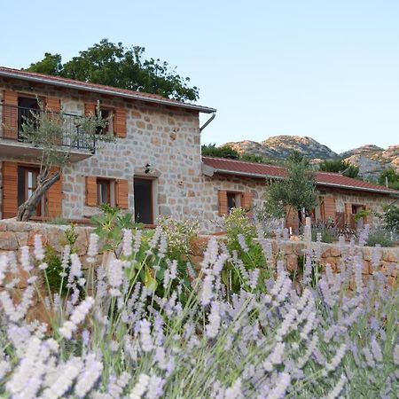 Villa Mara - Secluded House With Breathtaking View- Seline, Starigrad Paklenica Exteriör bild