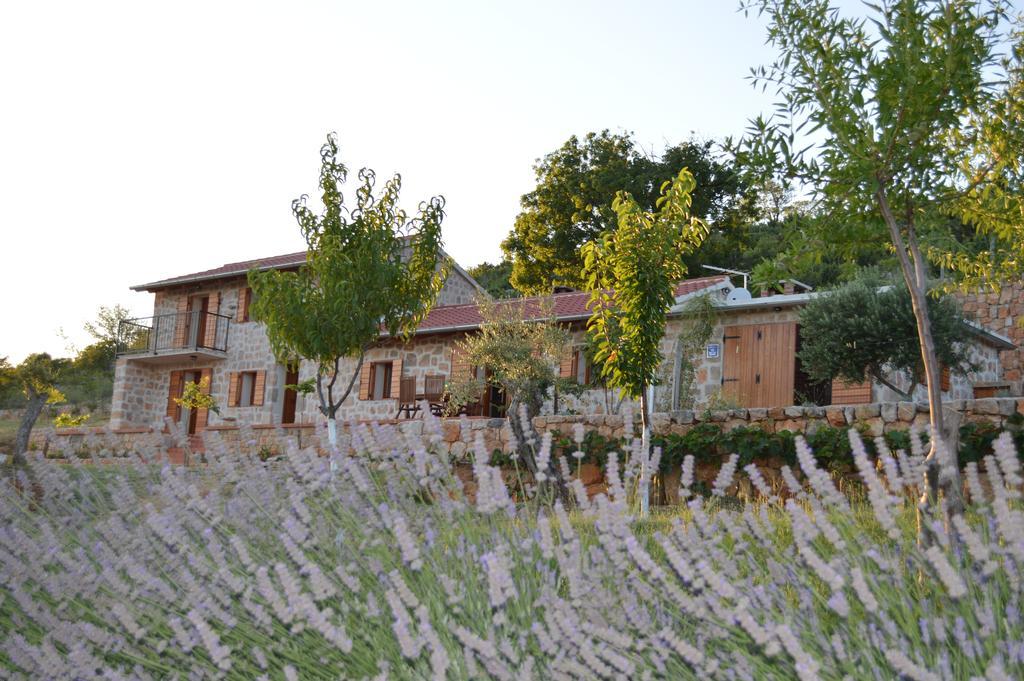 Villa Mara - Secluded House With Breathtaking View- Seline, Starigrad Paklenica Exteriör bild